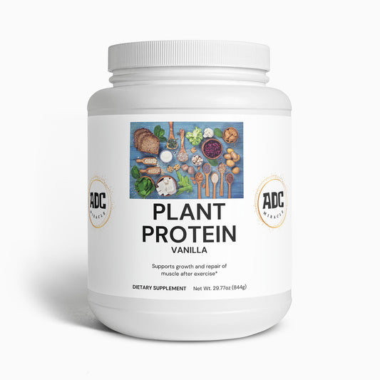 Plant Protein (Vanilla)