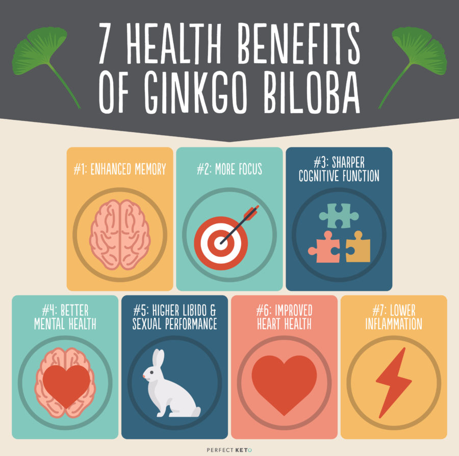Ginkgo Biloba + Ginseng