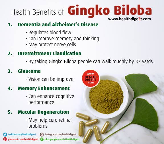 Ginkgo Biloba + Ginseng