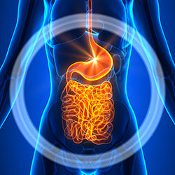 Probiotic 40 Billion with Prebiotics