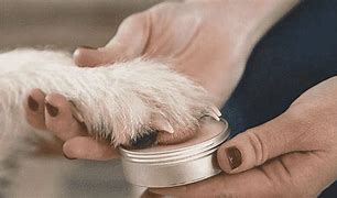 Dog Paw Balm