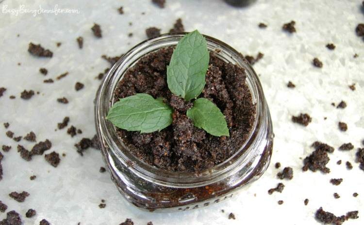 Peppermint Coffee Scrub